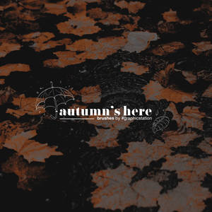 autumn's here by #graphicstation
