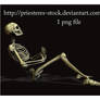 sitting dead skeleton