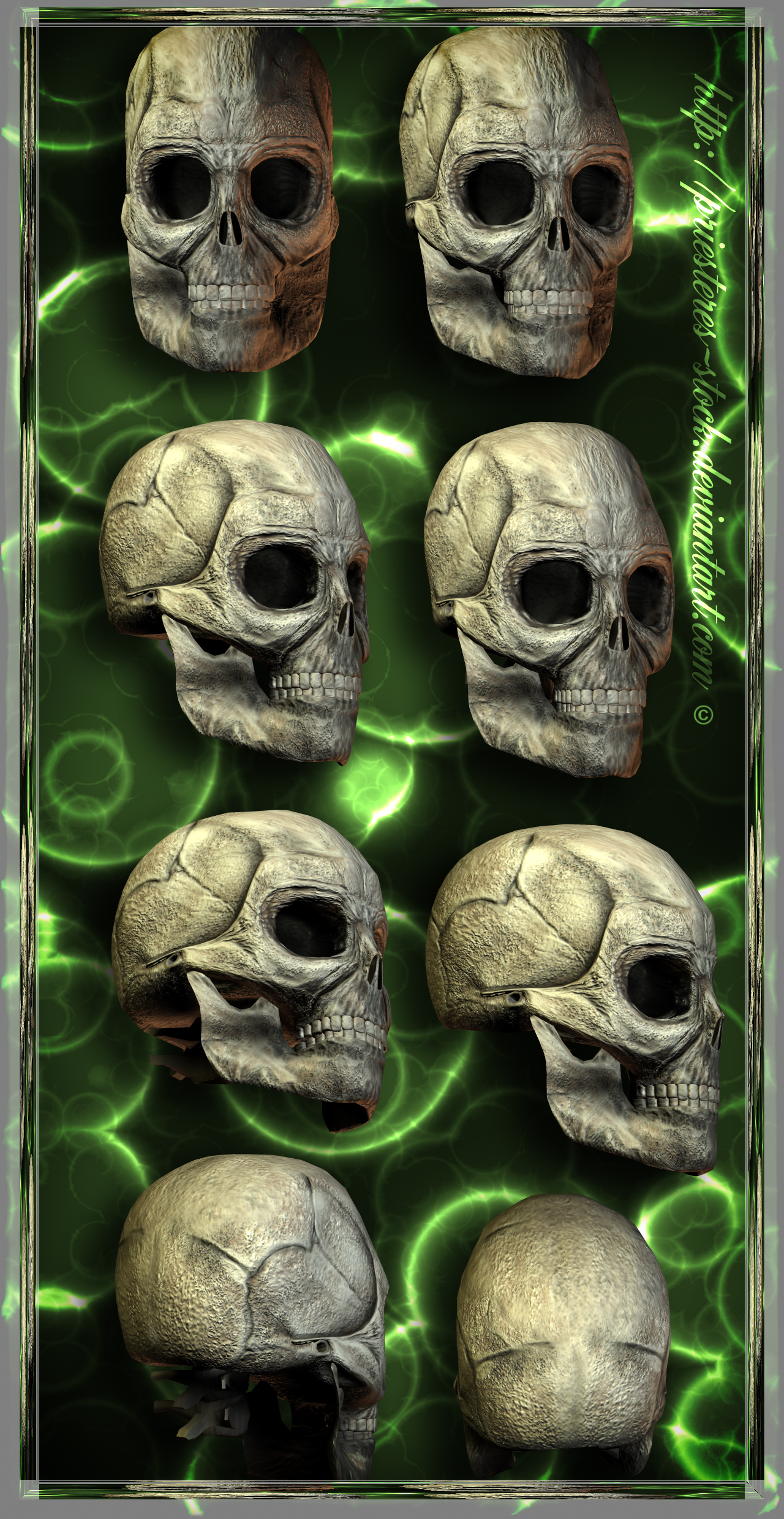 skelletonheads