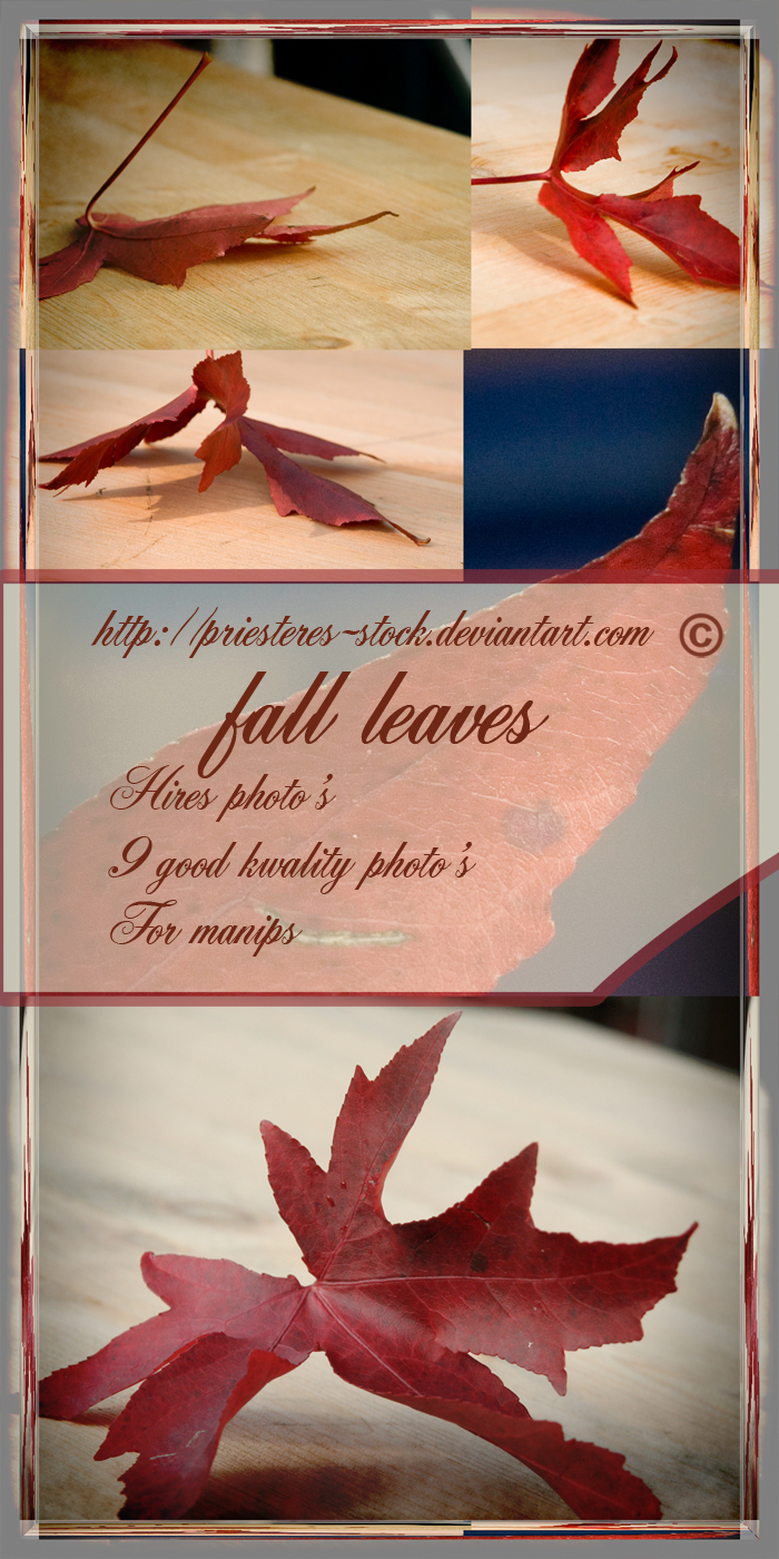 fall leaves pack