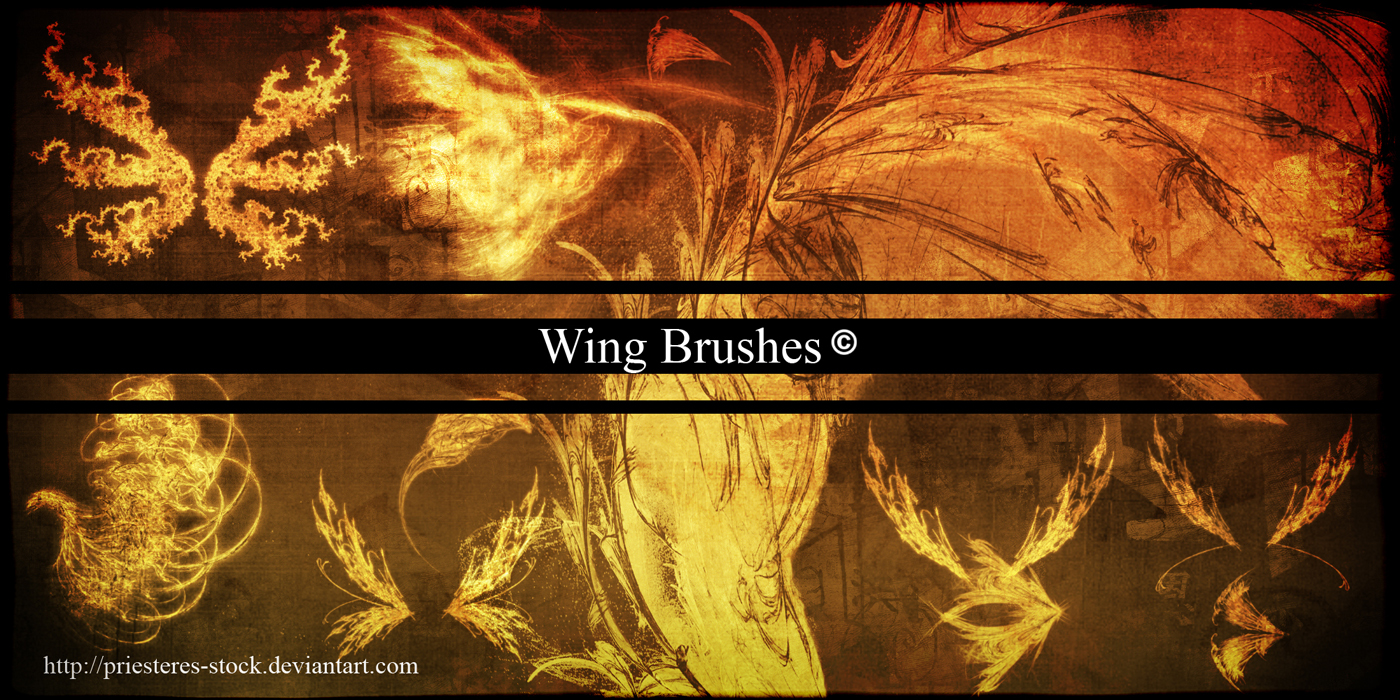 Wings Brushes