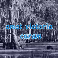 FoW | amat victoria curam