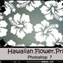 Hawaiian flower Brushes