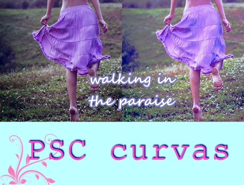 Walking In The Paradise PSC curvas