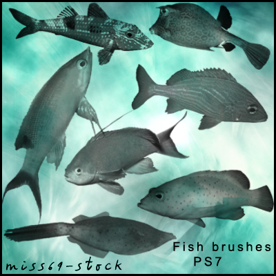 Fish brushes