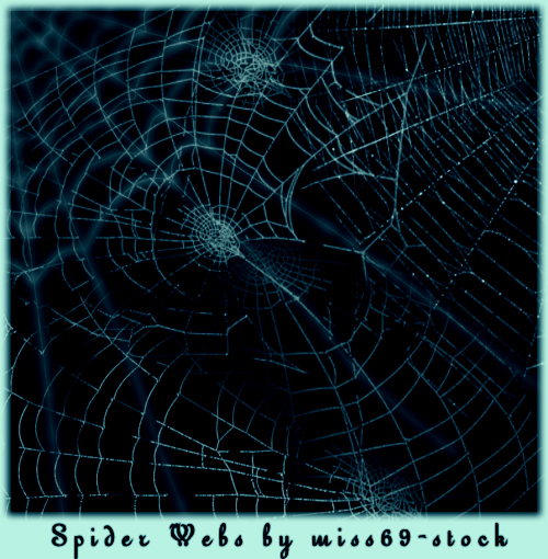 Spider Web Brushes