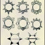 Nipple Shield Brushes