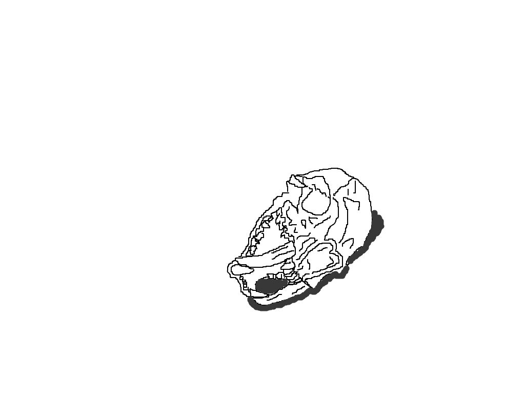skull lineart by bluedragon03 on DeviantArt