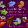 Siamese Fighting Fish Set 1