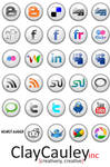 White Button Social Media Icon