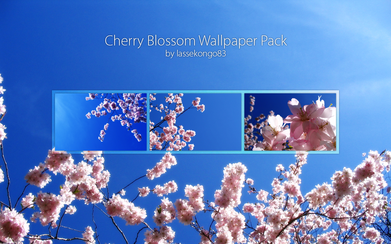 Cherry Blossom Lake Animated Wallpaper by livewallpaperspc on DeviantArt