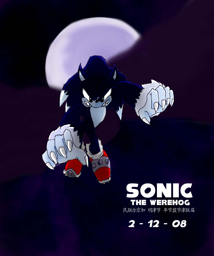 Night of Sonic the Werehog by gamefreak2008 on DeviantArt