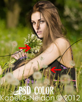 PSD Color