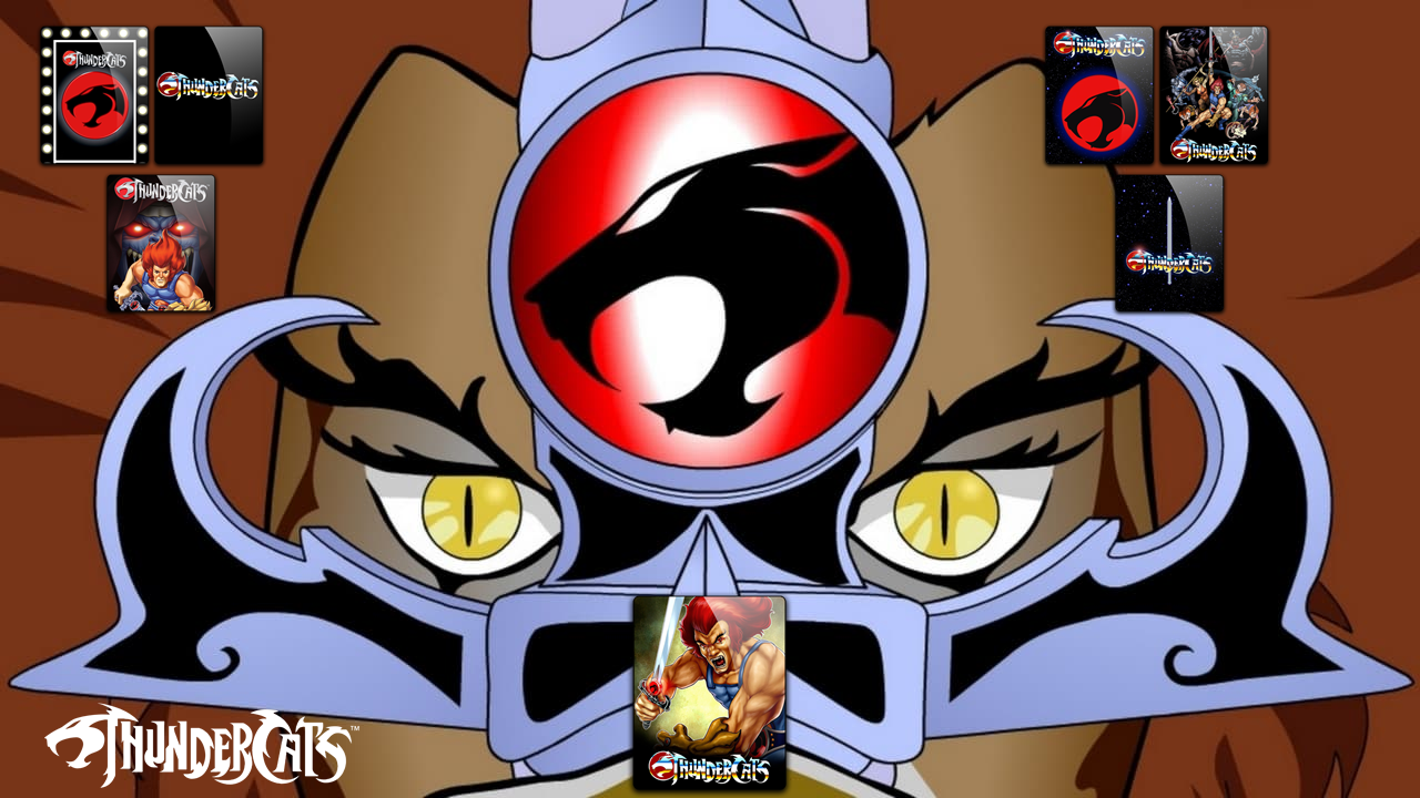 Thundercats Box Style by rajeshinfy on DeviantArt