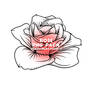 PACK PNG Roses