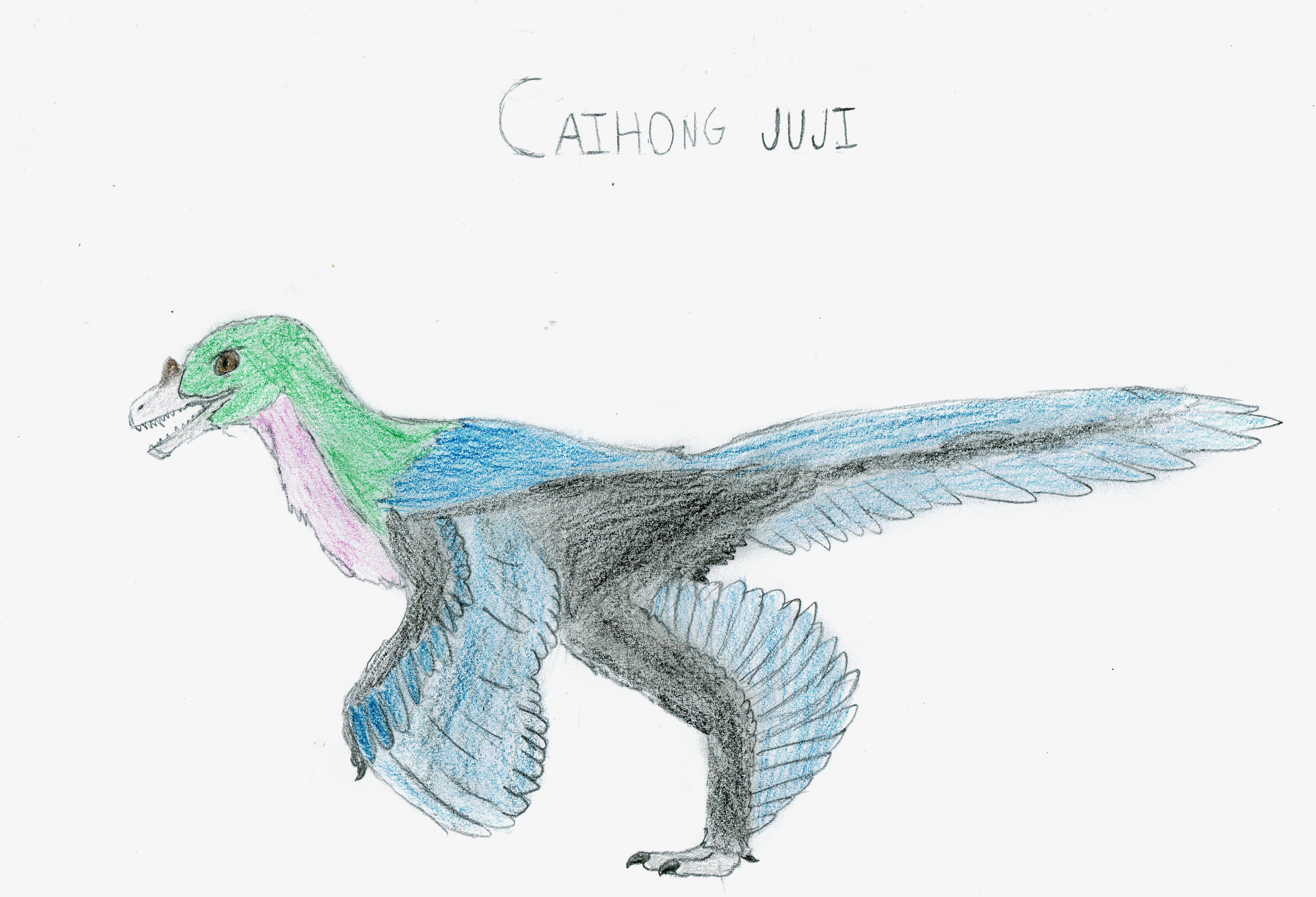 Caihong juji by Thecuriousone06 on DeviantArt