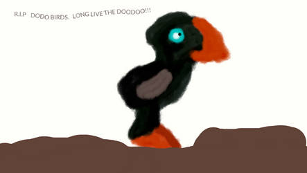 Dodo=DOODOO