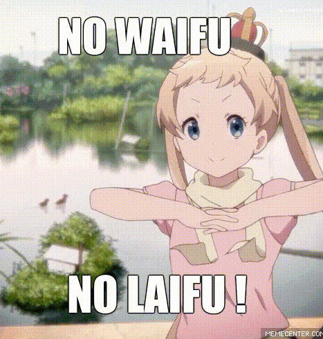 no_waifu_no_laifu_by_imtheonenexttome_d7