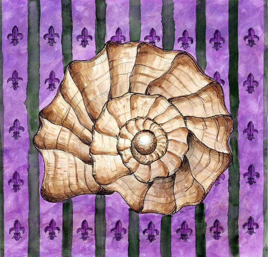 Seashell One by raimundgideon on DeviantArt