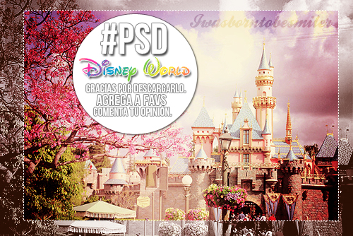 +Disney World PSD.