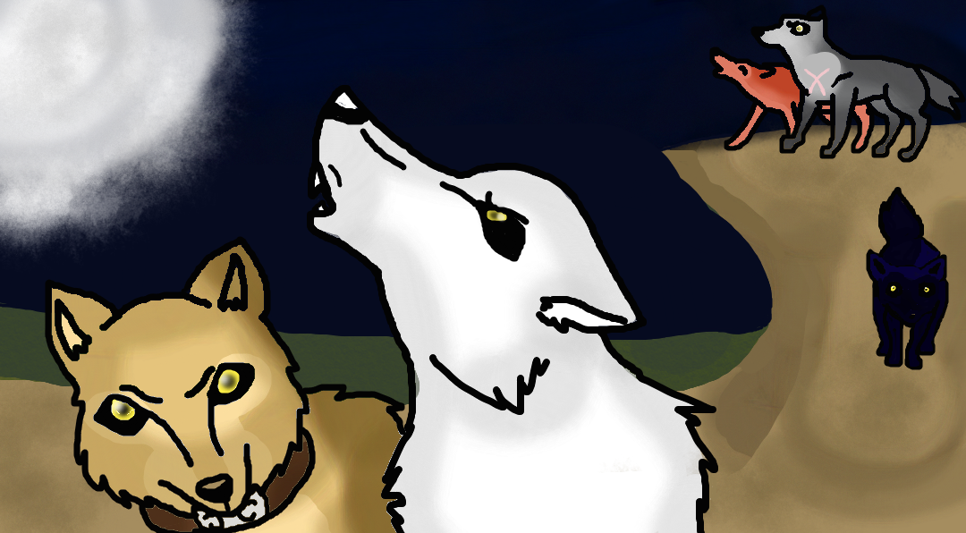 wolf rain moon night by mimar79 on DeviantArt