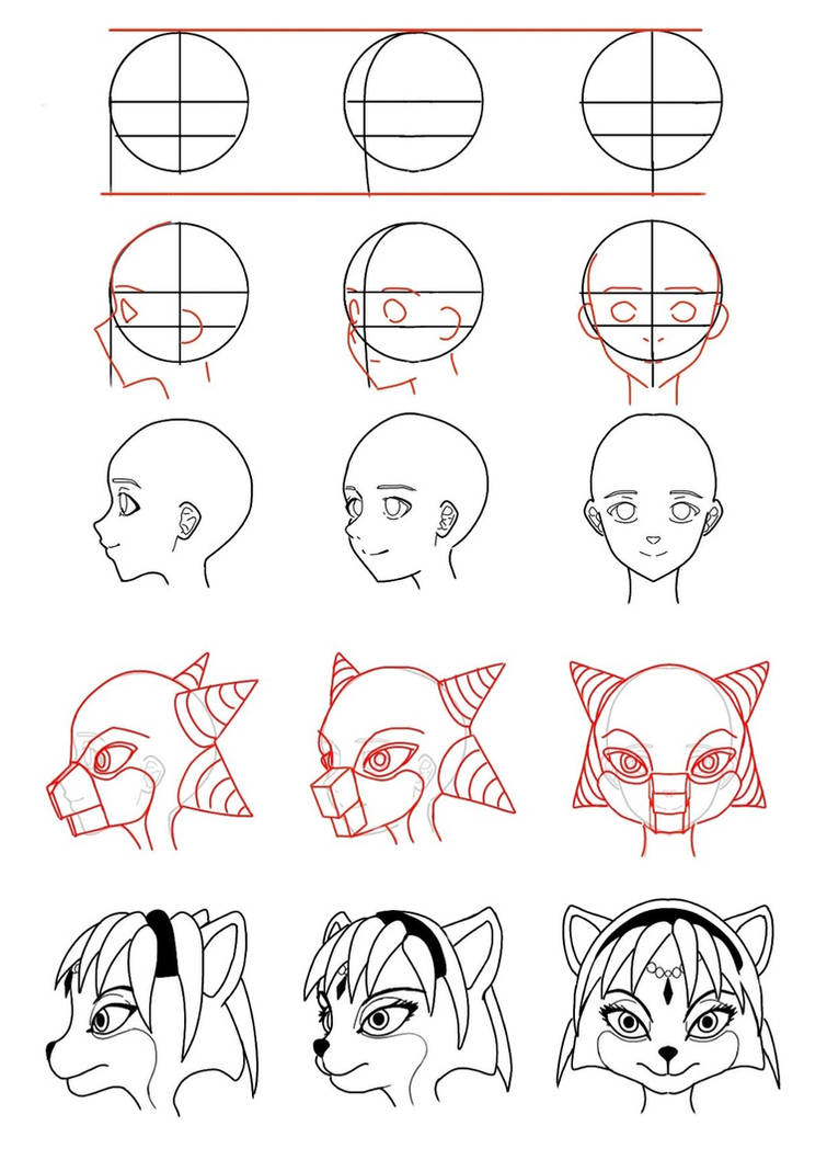 how to drawns heads Furry vol 2 by loid by drawingchints on DeviantArt