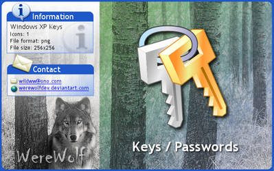Windows XP Keys