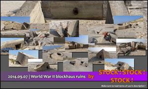 2014.09.07 | World War II blockhaus ruins