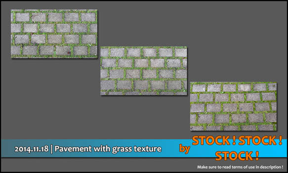 2014.11.18 | Pavement with grass texture pack