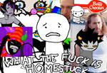What the Fuck is Homestuck? by DoctorGlasgow