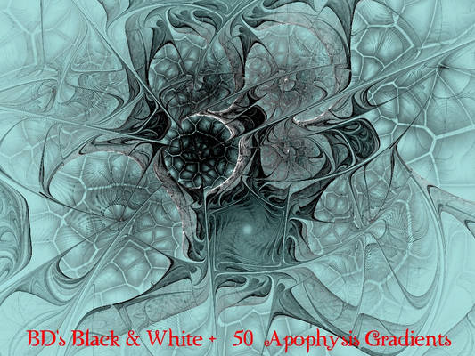 BDs Black n White + Gradients
