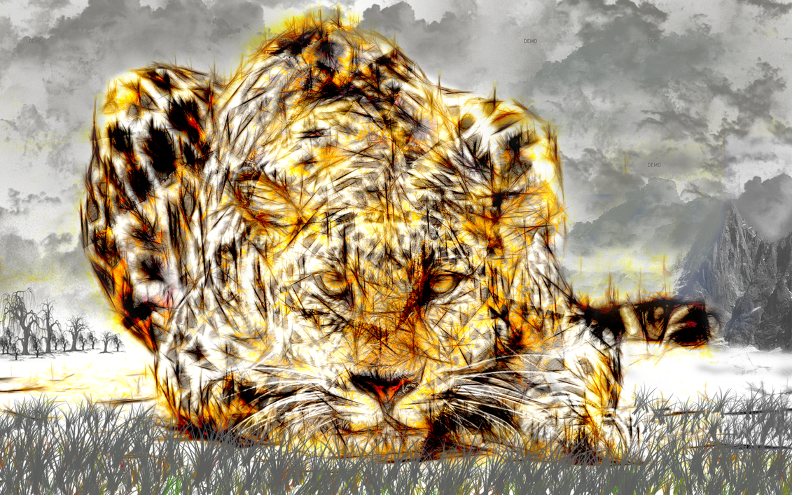 Leopard by VISIOart on DeviantArt