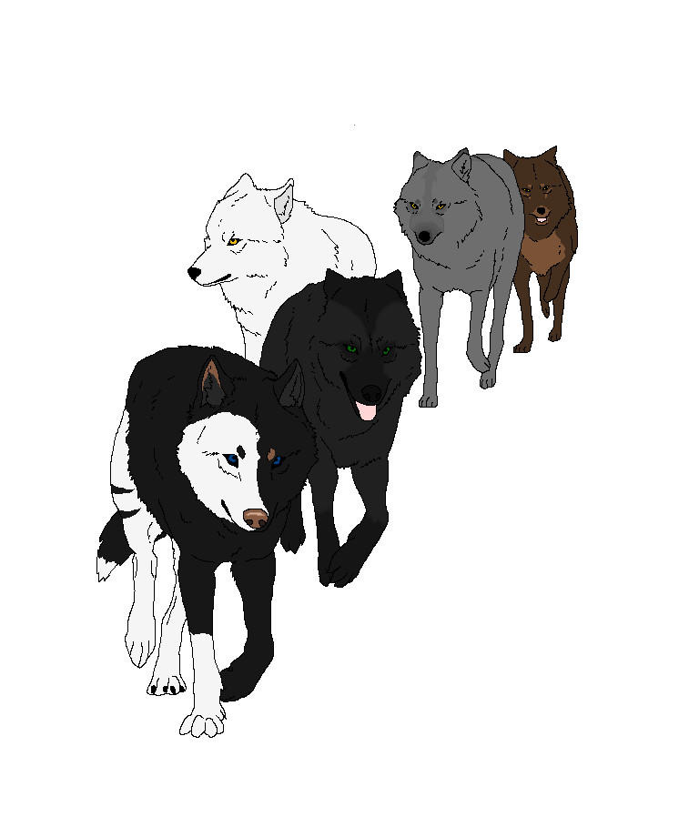 Wolf Pack by EchoTalen on DeviantArt