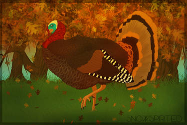 The Turkey Strut