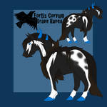 Ref Fortis Corvum by Tinetheeviltwin