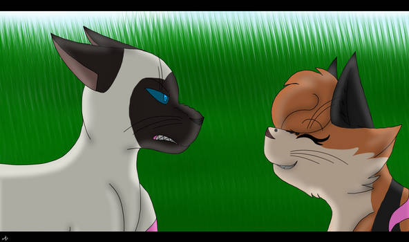 Warrior Cats Ocs- The first meet