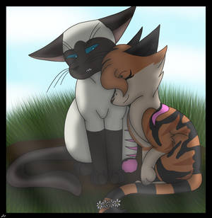 Warrior Cats-BrokenFoot and PetalTail