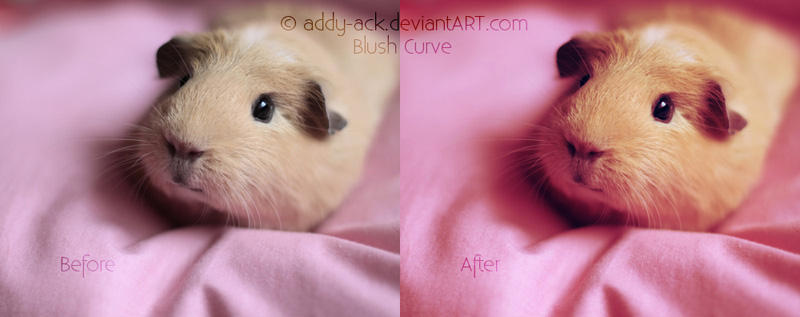 Blush Photoshop curve by addy-ack