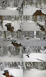 Snowy Woods Stock Package