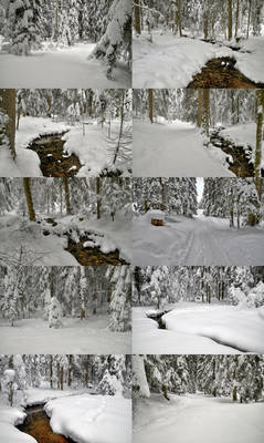 Snowy Woods Stock Package