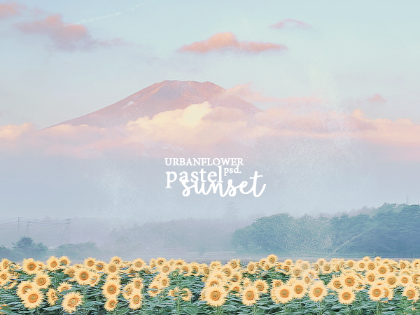 PSD Pastel Sunset Urban Flower Graphic 