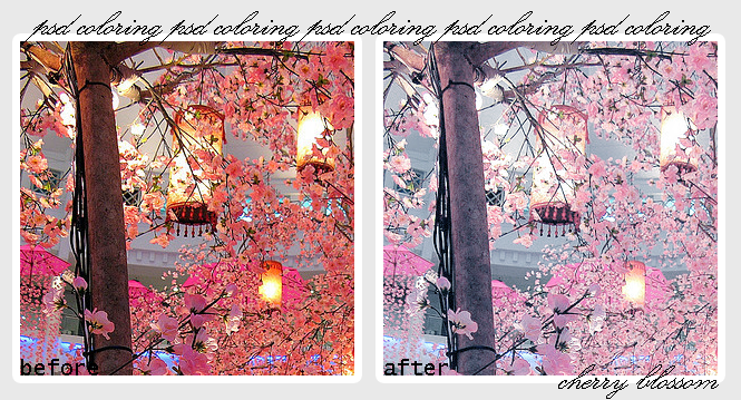 Cherry Blossom PSD coloring