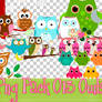 Png Pack O13 Owls