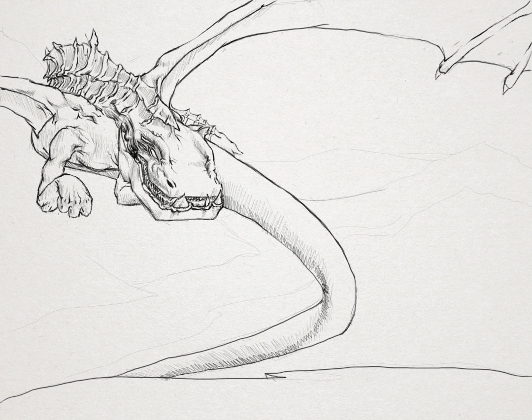 d58 wyrm doodle by awehowcute on DeviantArt