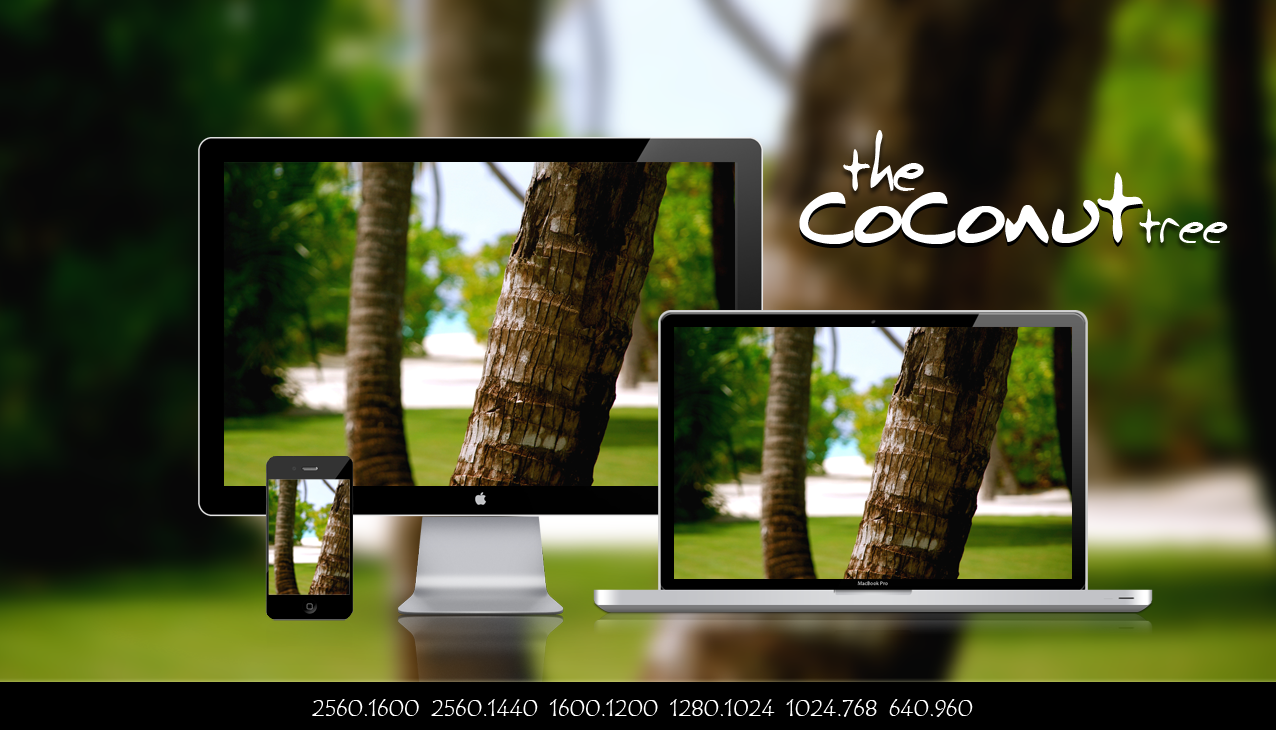The Coconut Tree by 99xpress on DeviantArt