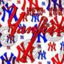 NY Yankees Brushes