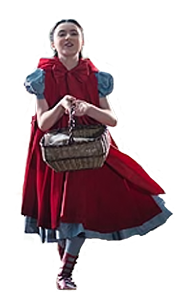 Into The Woods PNG