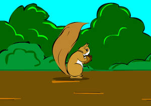 Squirrel animation.