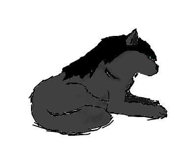 Wolf Animation by SemperLupe on DeviantArt