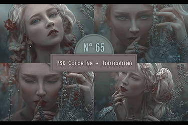 PSD Coloring 65 Iodicodino